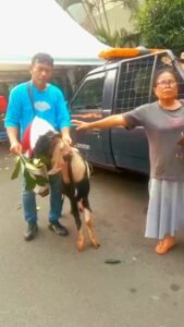 Portal Berita Indonesia dan Dunia Terkini Hari Ini, Update Harian Terbaru, Terlengkap, Tajam, Aktual dan Berimbang. Peta Jurnalis